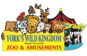 Amusement Parks-York's Wild Kingdon